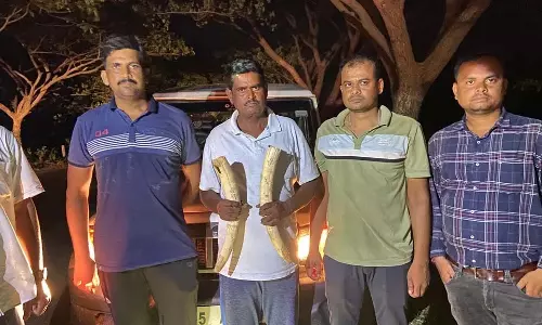 STF ने बौध में 50 लाख रुपये के हाथी दांत जब्त किए, एक गिरफ्तार STF ने बौध में 50 लाख रुपये के हाथी दांत जब्त किए, एक गिरफ्तार