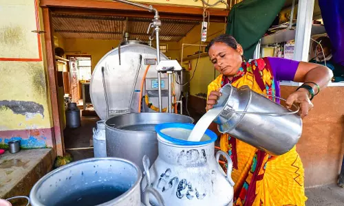 KMF : दूध संग्रह एक करोड़ लीटर के पार KMF : दूध संग्रह एक करोड़ लीटर के पार