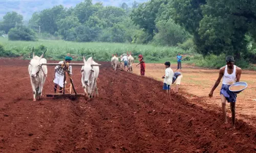 बुवाई की तैयारी; नकली बीज, उर्वरक पर अंकुश लगाने की जरूरत बुवाई की तैयारी; नकली बीज, उर्वरक पर अंकुश लगाने की जरूरत