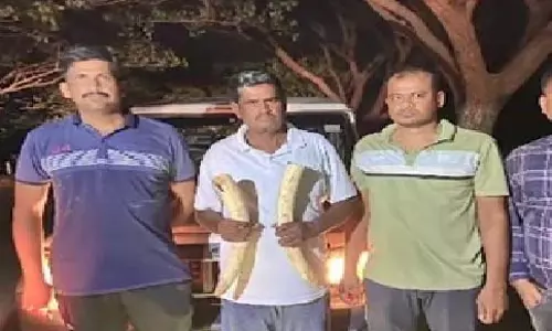 Odisha : बौध से 50 लाख के हाथी दांत जब्त Odisha : बौध से 50 लाख के हाथी दांत जब्त