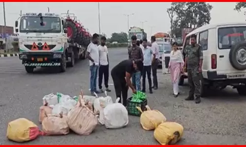 खाद्य सुरक्षा विभाग और पुलिस की कार्रवाई में नकली पनीर और खोया जब्त