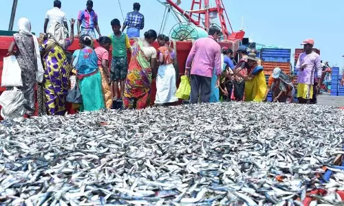 Karnataka: मानसून में मछली पकड़ने पर प्रतिबंध के लिए तट तैयार