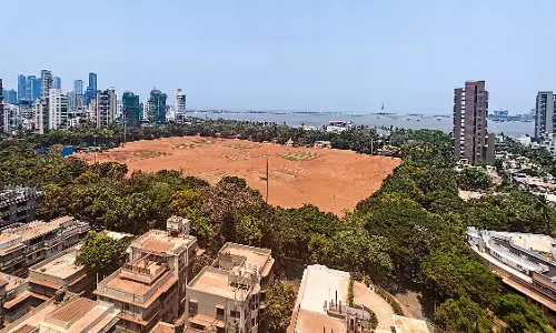 मुंबई : प्रदूषण बोर्ड के निर्देश के बावजूद शिवाजी पार्क में घास लगाने की मई की समयसीमा से चूकी BMC