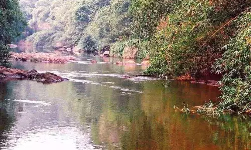 KIIFB ने नीरामनकदवु पुल को मंजूरी दी; 8 करोड़ रुपये मंजूर