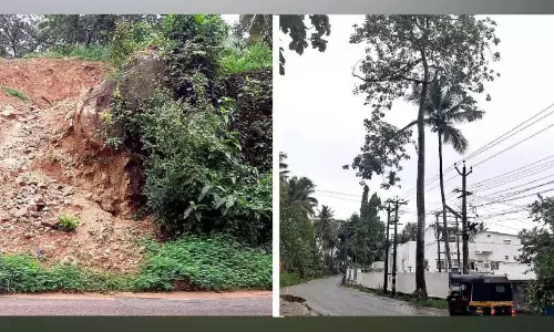 खतरनाक पेड़, मिट्टी के टीले और पत्थरों के ढेर; इन्हें हटाने के लिए कोई कार्रवाई नहीं की गई