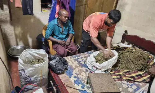 बड़ी नशीले पदार्थ की बरामदगी; 33.05 किलोग्राम गांजा जब्त बड़ी नशीले पदार्थ की बरामदगी; 33.05 किलोग्राम गांजा जब्त