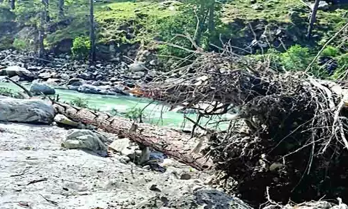 Manikaran घाटी में उखड़े हुए पेड़ की चपेट में आकर महिला और उसकी बेटी की मौत Manikaran घाटी में उखड़े हुए पेड़ की चपेट में आकर महिला और उसकी बेटी की मौत