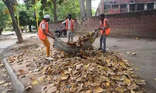 Chandigarh MC दक्षिणी सेक्टरों की सफाई के लिए नए सिरे से टेंडर जारी करेगा