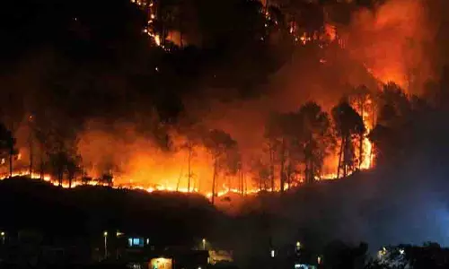 Dharamsala में पैराग्लाइडिंग स्थल के पास भीषण जंगल में आग
