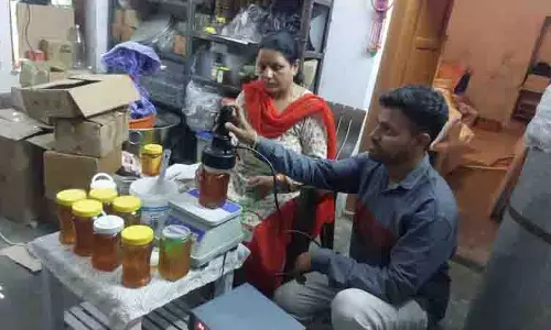 Himachal में बेरोजगार युवा मधुमक्खी पालन से बदल रहे अपना जीवन