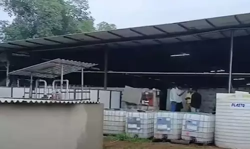 कोष्टी के ग्रामीणों ने किया विरोध प्रदर्शन, सुअर पालन फार्म की NOC रद्द करने की मांग