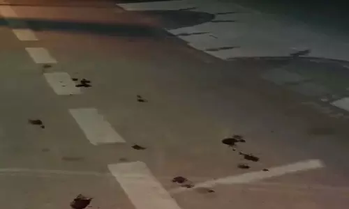 रायपुर में स्पीकर हाउस के सामने नाबालिग बदमाशों का तांडव, युवक पर चाकू से हमला