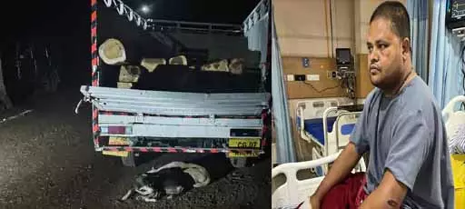 सागौन लकड़ी की तस्करी नाकाम, हमले में डिप्टी रेंजर घायल सागौन लकड़ी की तस्करी नाकाम, हमले में डिप्टी रेंजर घायल