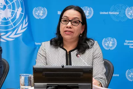 UN सुरक्षा परिषद को काम करते देखने के बाद, गुयाना सुधार के लिए वकालत करने के लिए और भी अधिक प्रेरित हुआ UN सुरक्षा परिषद को काम करते देखने के बाद, गुयाना सुधार के लिए वकालत करने के लिए और भी अधिक प्रेरित हुआ