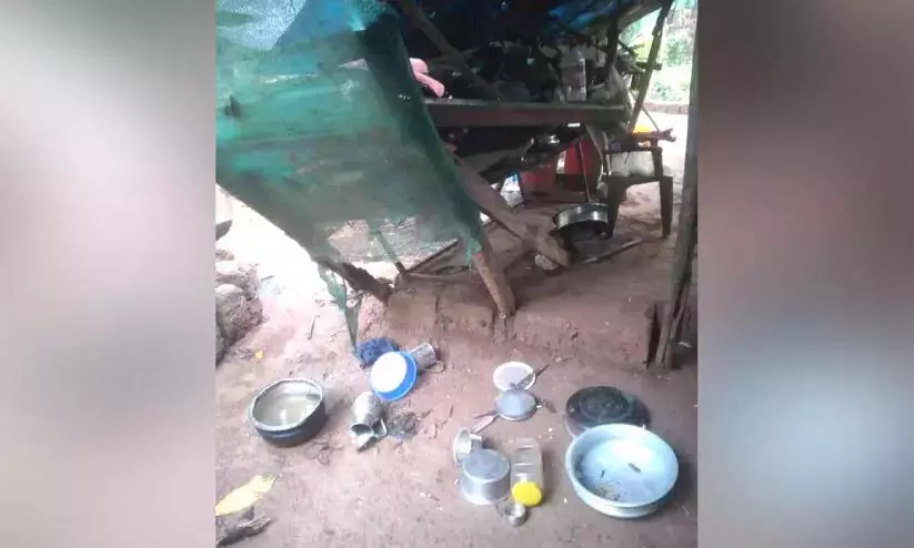 Kerala : अरलम फार्म में फिर जंगली हाथी Kerala : अरलम फार्म में फिर जंगली हाथी