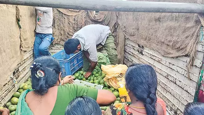 Telangana : व्यापारियों ने बाजार में एक टन आम 1,000 रुपये में मांगा Telangana : व्यापारियों ने बाजार में एक टन आम 1,000 रुपये में मांगा