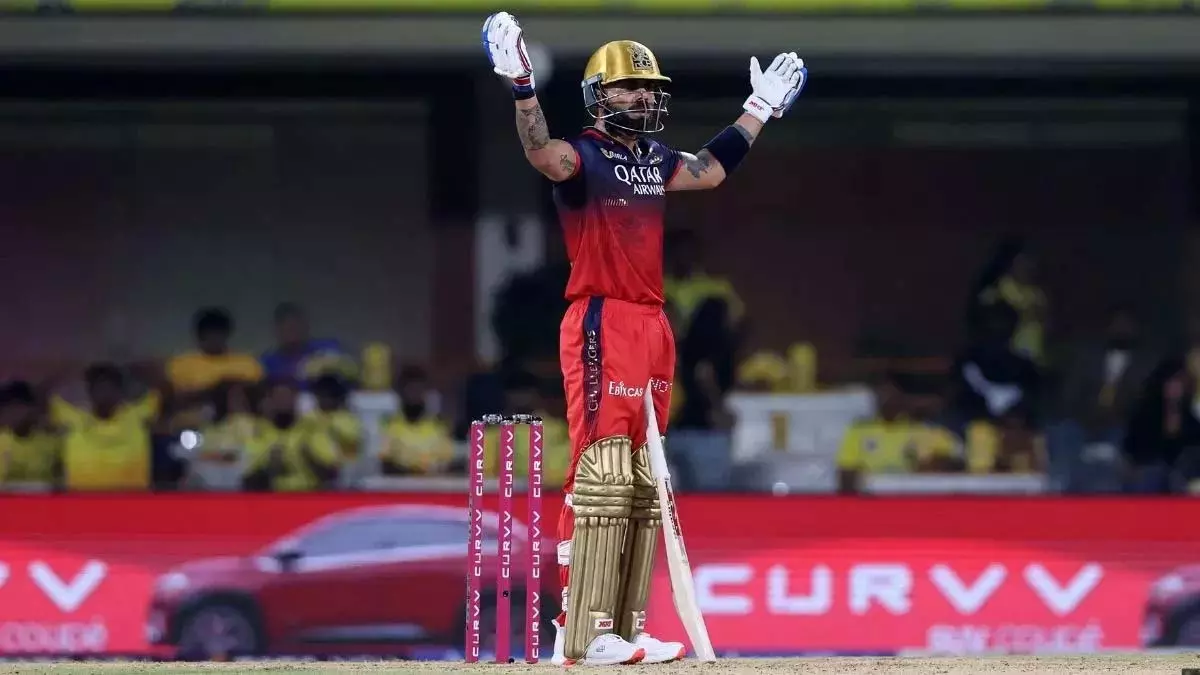 RCB vs PBKS फाइनल: विराट कोहली ने चौका लगाकर शिखर धवन को छोड़ा पीछे RCB vs PBKS फाइनल: विराट कोहली ने चौका लगाकर शिखर धवन को छोड़ा पीछे