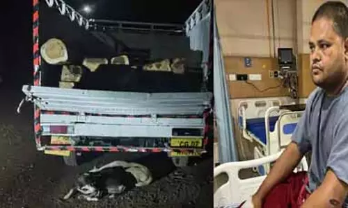 सागौन लकड़ी की तस्करी नाकाम, हमले में डिप्टी रेंजर घायल