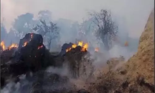Yamunanagar: पशुओं के चारे में लगी आग, किसान चिंतित