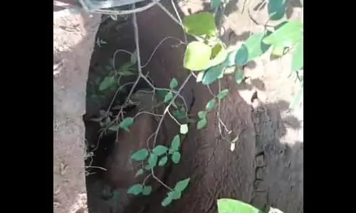 कुएं में गिरे हाथी शावक को निकालने रेस्क्यू शुरू, वीडियो