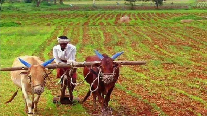 Ballia: प्राकृतिक खेती से बदलेगी किसानों की तकदीर, बढ़ेगा मुनाफा घटेगा खर्च Ballia: प्राकृतिक खेती से बदलेगी किसानों की तकदीर, बढ़ेगा मुनाफा घटेगा खर्च
