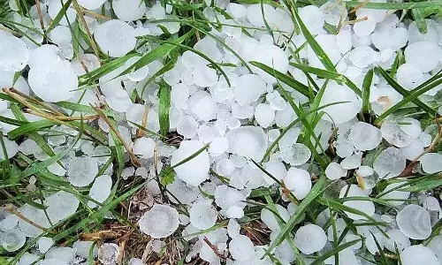 Shopian ओलावृष्टि से सेब क्षेत्र में भारी तबाही Shopian ओलावृष्टि से सेब क्षेत्र में भारी तबाही