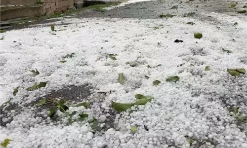 Kashmir: ओलावृष्टि से भारी तबाही, बढ़ी किसानों की परेशानी Kashmir: ओलावृष्टि से भारी तबाही, बढ़ी किसानों की परेशानी
