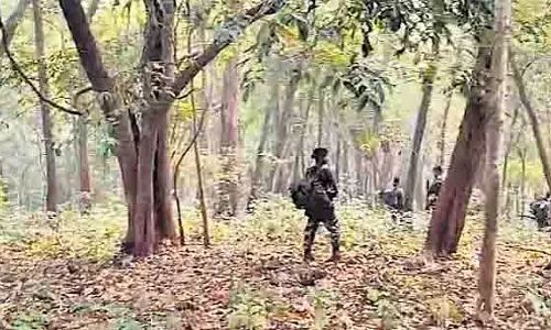 Odisha-झारखंड सीमा पर सारंडा में 2.5 टन लूटा हुआ विस्फोटक बरामद Odisha-झारखंड सीमा पर सारंडा में 2.5 टन लूटा हुआ विस्फोटक बरामद