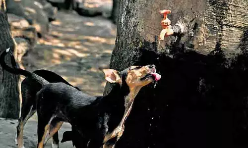 Odisha: मानसून के कमजोर पड़ने से गर्म और आर्द्र मौसम की वापसी
