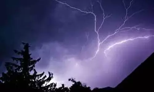 जम्मू-कश्मीर के पुंछ में बिजली गिरने से 10 भेड़ों की मौत
