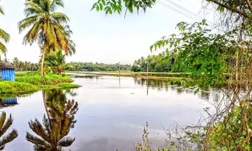 Kerala : विकास की प्रतीक्षा कर रहे जलपक्षियों के लिए एक स्वर्ग Kerala : विकास की प्रतीक्षा कर रहे जलपक्षियों के लिए एक स्वर्ग