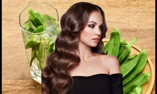 Okra Hair Mask : से बालों को दें न्यू लाइफ Okra Hair Mask : से बालों को दें न्यू लाइफ