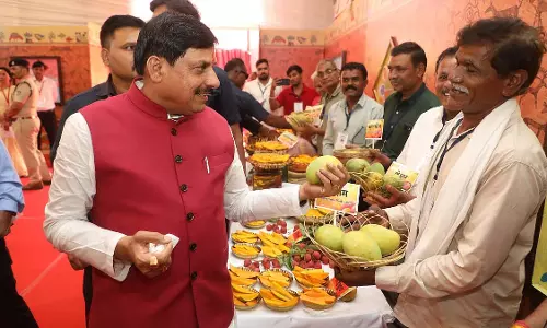 MP : 33.8 करोड़ की विकास परियोजनाओं को मंजूरी देने पर ध्यान केंद्रित किया