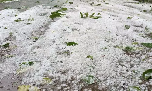 Jammu: शोपियां में ओलावृष्टि से बागों में तबाही