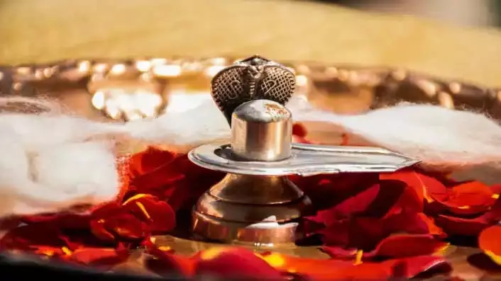 Ganga Dussehra 2025: गंगा दशहरा के दिन शिवलिंग पर चढ़ाएं ये चीजें, पूरी होगी हर मनोकामना Ganga Dussehra 2025: गंगा दशहरा के दिन शिवलिंग पर चढ़ाएं ये चीजें, पूरी होगी हर मनोकामना