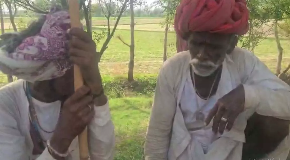 Haryana: तेज रफ्तार ट्रक ने ली 18 गायों की जान, रोने लगे चरवाहे Haryana: तेज रफ्तार ट्रक ने ली 18 गायों की जान, रोने लगे चरवाहे