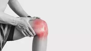 Health: एक्सपर्ट से जानें हड्डियों और जोड़ों में लगातार दर्द होना किस बीमारी का लक्षण है Health: एक्सपर्ट से जानें हड्डियों और जोड़ों में लगातार दर्द होना किस बीमारी का लक्षण है