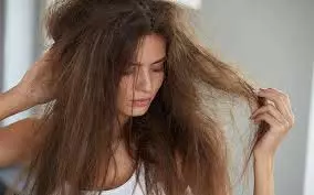 Hair Care Tips: रूखे और बेजान बालों से छुटकारा पाने के लिए आजमाएं ये घरेलू उपाय Hair Care Tips: रूखे और बेजान बालों से छुटकारा पाने के लिए आजमाएं ये घरेलू उपाय