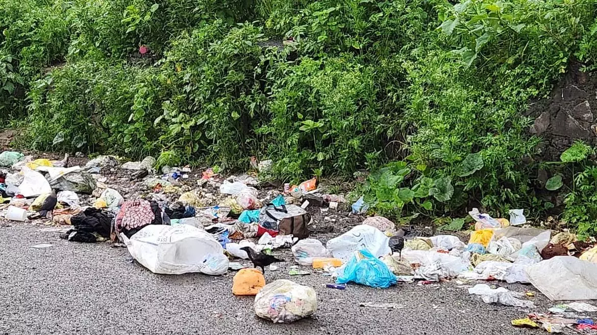 BMC की टालमटोल के बावजूद 49% मुंबईकर कचरा शुल्क के पक्ष में; 52% कूड़ा फेंकने पर जुर्माने के समर्थन में BMC की टालमटोल के बावजूद 49% मुंबईकर कचरा शुल्क के पक्ष में; 52% कूड़ा फेंकने पर जुर्माने के समर्थन में