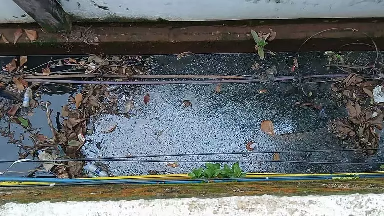 Fatorda जॉगिंग ट्रैक के पास प्रदूषित नाला जन स्वास्थ्य के लिए खतरा Fatorda जॉगिंग ट्रैक के पास प्रदूषित नाला जन स्वास्थ्य के लिए खतरा