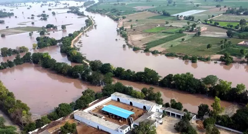 Sirsa के घग्गर क्षेत्र में बाढ़ का डर बढ़ा, नेताओं ने खतरे की चेतावनी दी Sirsa के घग्गर क्षेत्र में बाढ़ का डर बढ़ा, नेताओं ने खतरे की चेतावनी दी