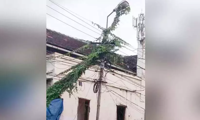 Kerala : बिजली के खंभों पर लगे अपशिष्ट संयंत्र खतरा पैदा करते Kerala : बिजली के खंभों पर लगे अपशिष्ट संयंत्र खतरा पैदा करते