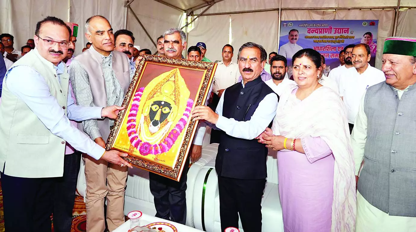 बनखंडी में सीएम ने रखीं वन्य प्राणी उद्यान की नींव बनखंडी में सीएम ने रखीं वन्य प्राणी उद्यान की नींव
