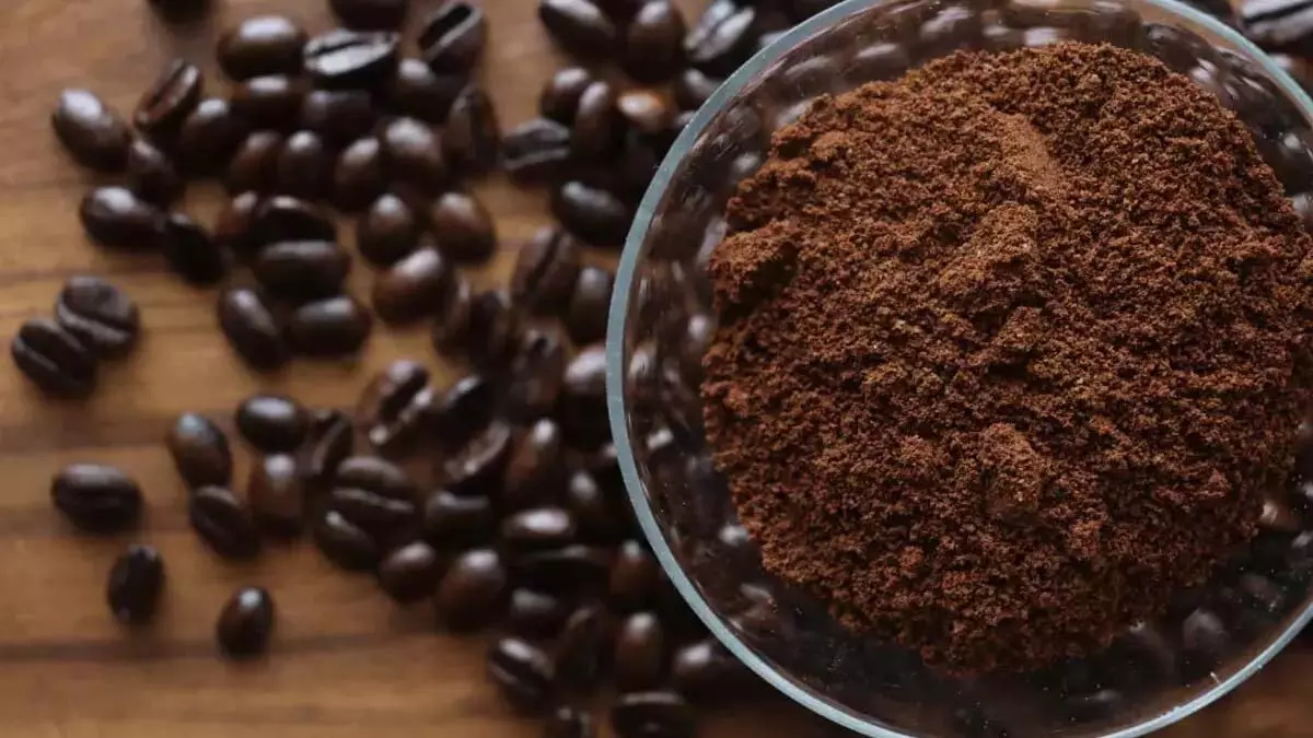 स्वस्थ, मजबूत और चमकदार बालों के लिए 5 DIY कॉफ़ी हेयर मास्क स्वस्थ, मजबूत और चमकदार बालों के लिए 5 DIY कॉफ़ी हेयर मास्क