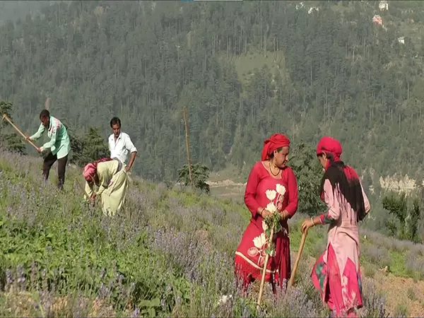 डोडा में 200 किसानों को मिला व्यावहारिक प्रशिक्षण, ‘विकसित कृषि संकल्प अभियान 2025’ के तहत आयोजन डोडा में 200 किसानों को मिला व्यावहारिक प्रशिक्षण, ‘विकसित कृषि संकल्प अभियान 2025’ के तहत आयोजन