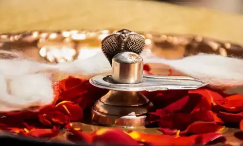Ganga Dussehra 2025: गंगा दशहरा के दिन शिवलिंग पर चढ़ाएं ये चीजें, पूरी होगी हर मनोकामना
