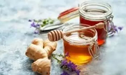 Health :जानिए शहद और अदरक को एक साथ खाने के फायदे Health :जानिए शहद और अदरक को एक साथ खाने के फायदे
