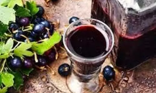 Jamun Vinegar: जानिए जामुन के सिरके के अद्भुत फायदे