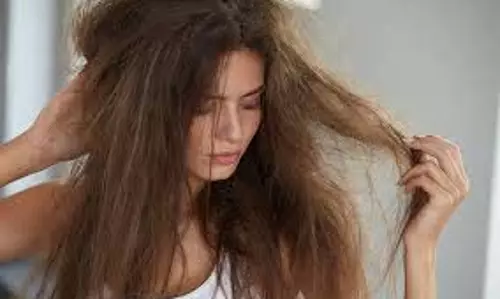 Hair Care Tips: रूखे और बेजान बालों से छुटकारा पाने के लिए आजमाएं ये घरेलू उपाय Hair Care Tips: रूखे और बेजान बालों से छुटकारा पाने के लिए आजमाएं ये घरेलू उपाय