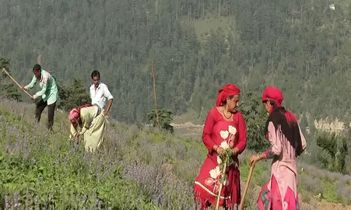 विकसित कृषि संकल्प अभियान 2025 के तहत Doda में करीब 200 किसानों को मिला प्रशिक्षण